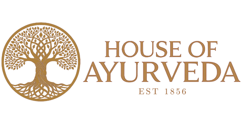 My Store